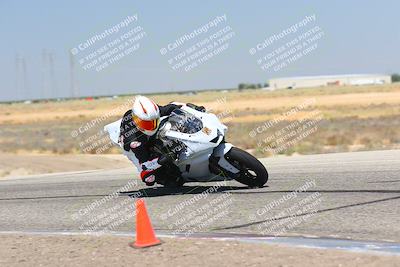 media/Aug-06-2023-TrackDaz (Sun) [[ac7f4f6367]]/A Group/cotton corners/